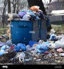 Best Dumpster Rental Services  in Canyon Day, AZ